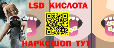 spice Рыбинск